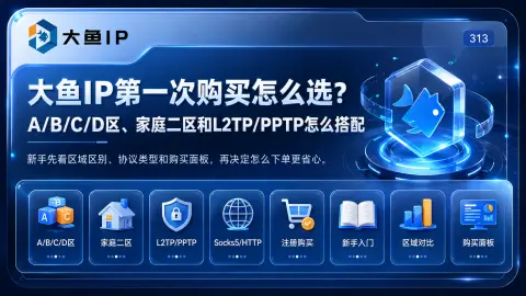 大鱼IP第一次购买怎么选？A/B/C/D区、长效L2TP、住宅L2TP和纯独享分别适合什么需求封面图