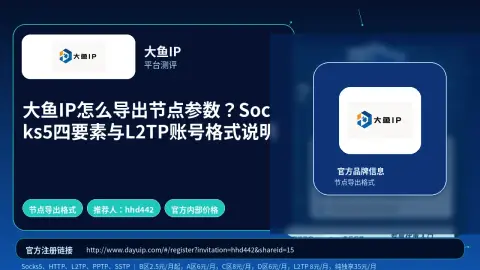 大鱼IP怎么导出节点参数？Socks5四要素与L2TP账号格式说明封面图