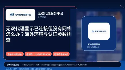 无双代理显示已连接但没有网络怎么办？海外环境与认证参数排查封面图
