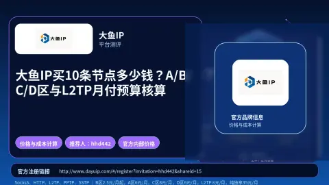大鱼IP买10条节点多少钱？A/B/C/D区与L2TP月付预算核算封面图