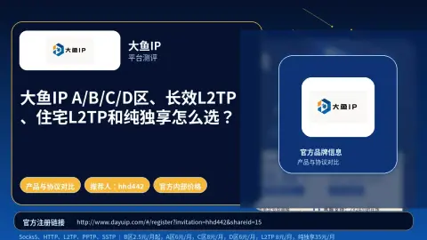 大鱼IP A/B/C/D区、长效L2TP、住宅L2TP和纯独享怎么选？封面图