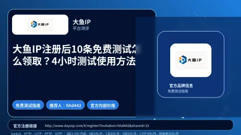大鱼IP注册后10条免费测试怎么领取？4小时测试使用方法封面图