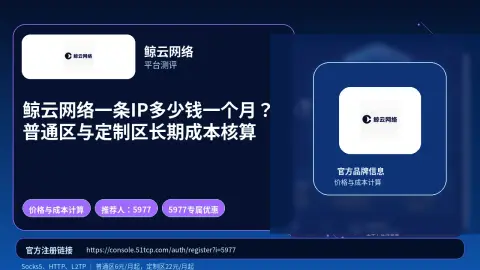 鲸云网络一条IP多少钱一个月？普通区与定制区长期成本核算封面图