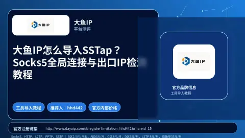 大鱼IP怎么导入SSTap？Socks5全局连接与出口IP检测教程封面图