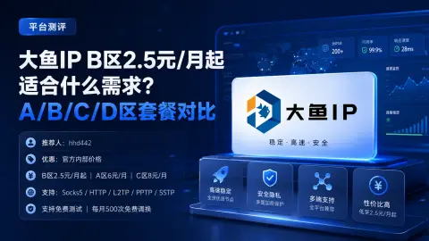 大鱼IP B区2.5元/月起适合什么需求？A/B/C/D区套餐对比封面图