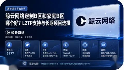 鲸云网络定制B区和家庭B区哪个好？L2TP支持与长期项目选择封面图