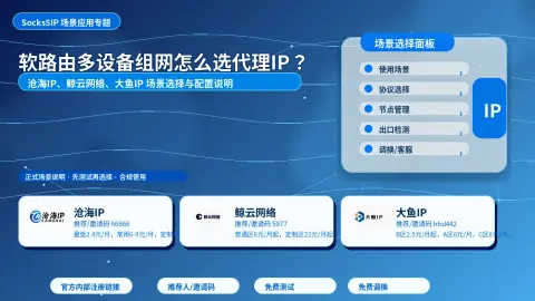 软路由多设备组网怎么选代理IP？沧海IP、鲸云网络和大鱼IP 方案分析封面图