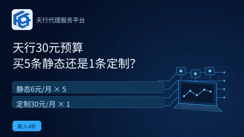 天行30元预算买5条静态还是1条定制？封面