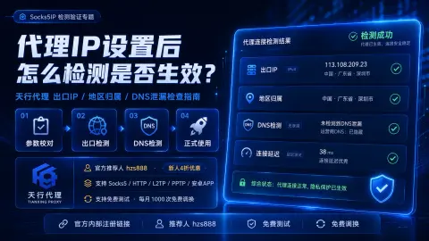 代理IP设置后怎么检测是否生效？天行代理出口IP、地区和DNS检查指南封面图