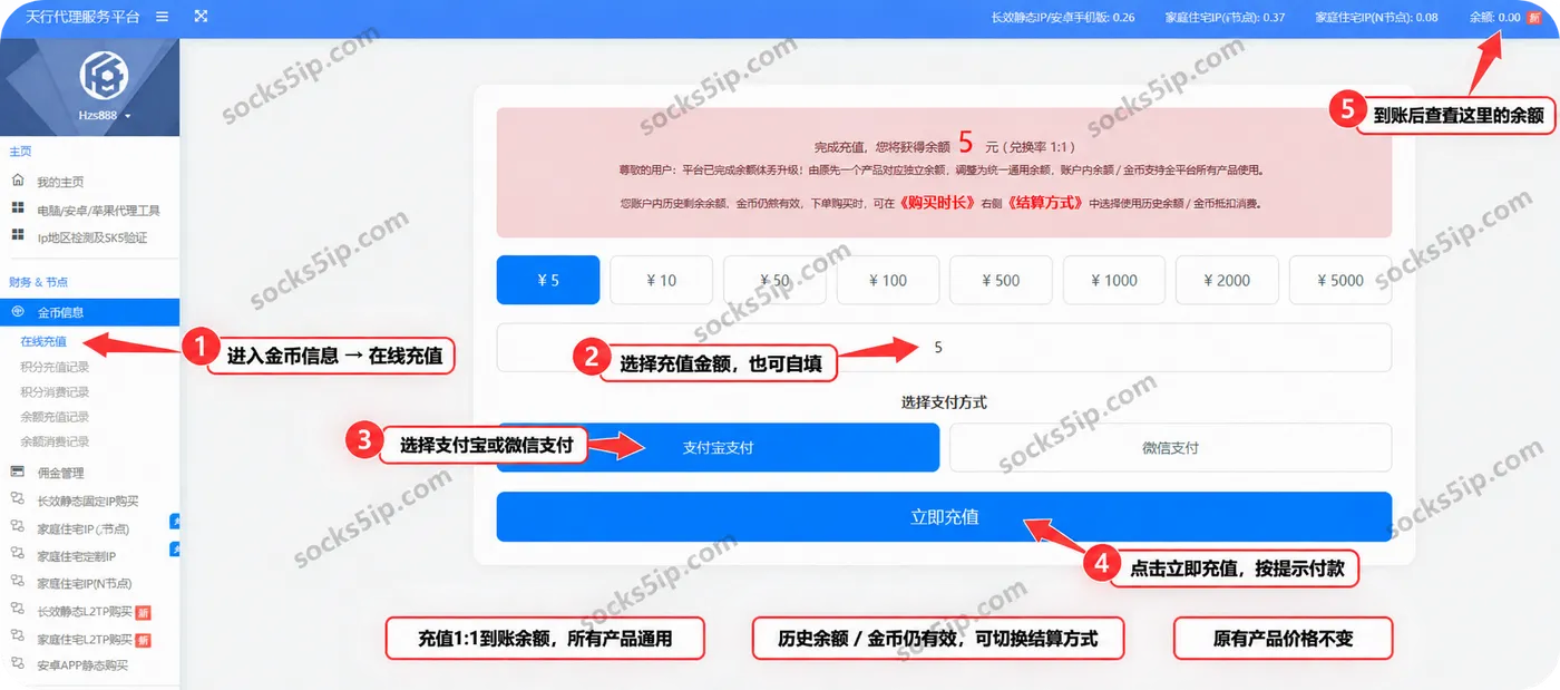天行代理新版充值:选择金额与支付方式,付款后查看右上角余额